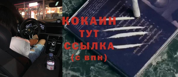 дурь Дмитровск