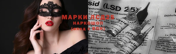 spice Абаза