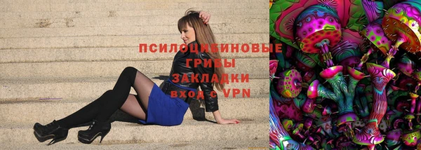 spice Абаза