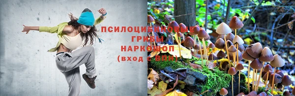 spice Абаза