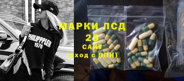 прущая мука Инсар