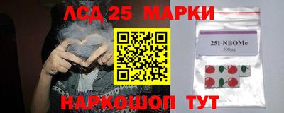 гидропоника Пыть-Ях
