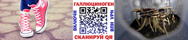 Псилоцибиновые грибы мицелий  Сызрань 