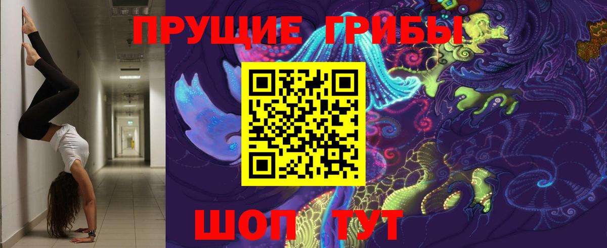 Сызрань  Псилоцибиновые грибы MAGIC MUSHROOMS  Вход с VPN 
